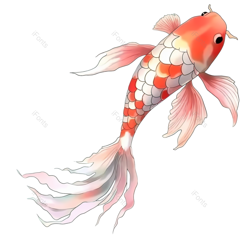 卡通图片,锦鲤元素,插画PNG,鲤鱼免抠素材